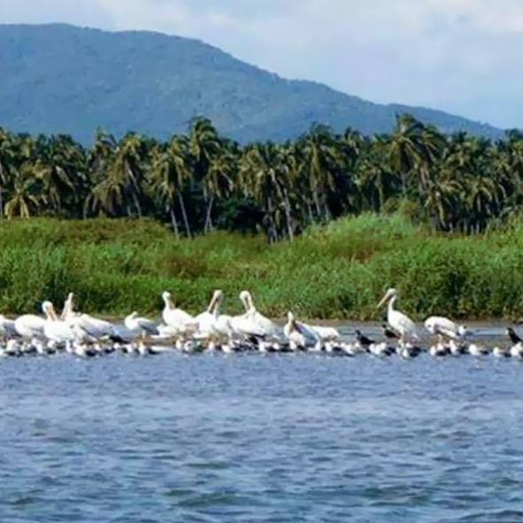 Laguna de Coyuca 